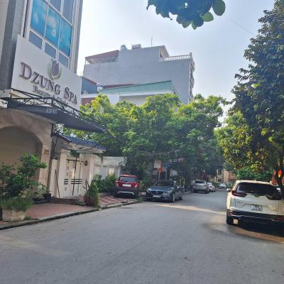 Đất 84m2 mặt phố Tô Vũ, Văn Cao