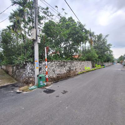 Đất 316m2 tại thị trấn Minh Đức, Thuỷ Nguyên