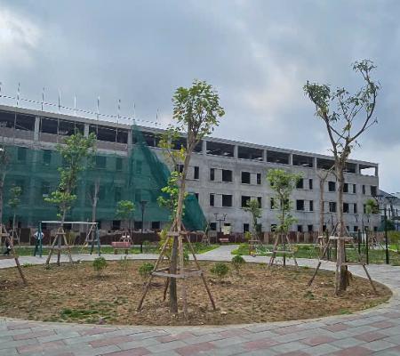 Biệt thự & nhà liền kề Aurora Harbour Nam Hải