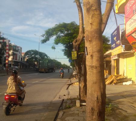 Lô đất 80m2 mặt đường Nguyễn Bỉnh Khiêm, Đông Hải, Hải An, HP